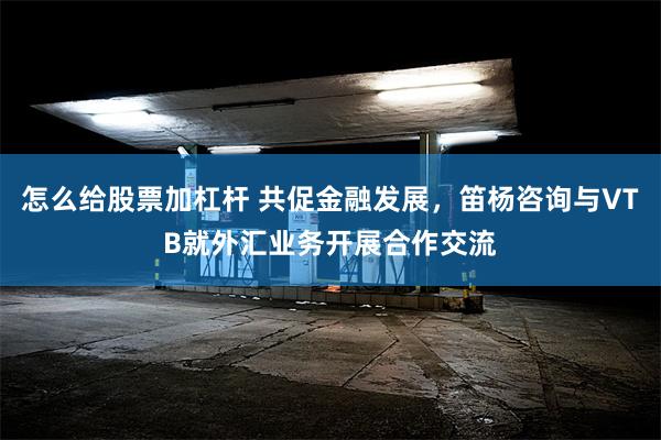 怎么给股票加杠杆 共促金融发展，笛杨咨询与VTB就外汇业务开展合作交流