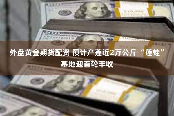 外盘黄金期货配资 预计产莲近2万公斤 “莲蛙”基地迎首轮丰收