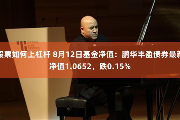 股票如何上杠杆 8月12日基金净值：鹏华丰盈债券最新净值1.0652，跌0.15%