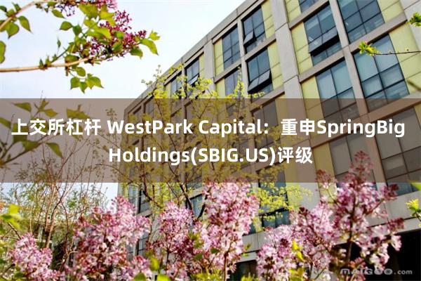 上交所杠杆 WestPark Capital：重申SpringBig Holdings(SBIG.US)评级