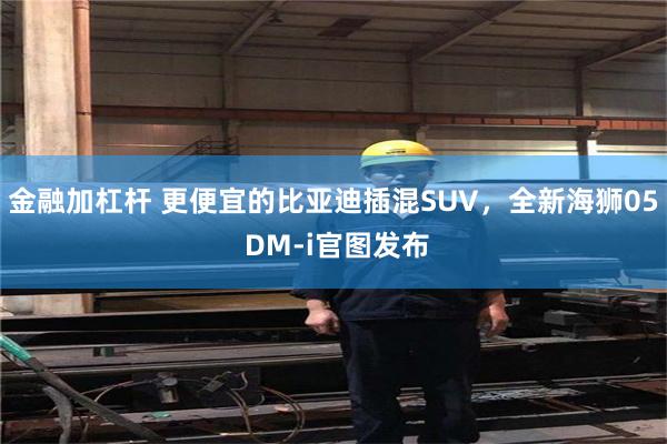 金融加杠杆 更便宜的比亚迪插混SUV，全新海狮05 DM-i官图发布