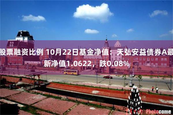 股票融资比例 10月22日基金净值：天弘安益债券A最新净值1.0622，跌0.08%