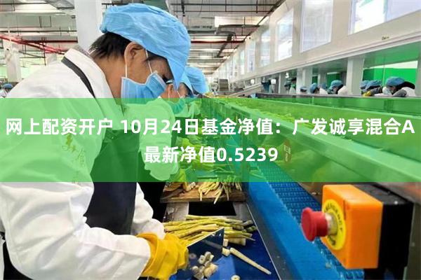 网上配资开户 10月24日基金净值：广发诚享混合A最新净值0.5239