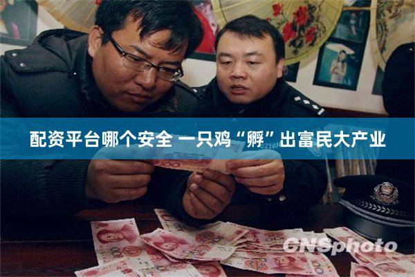 配资平台哪个安全 一只鸡“孵”出富民大产业