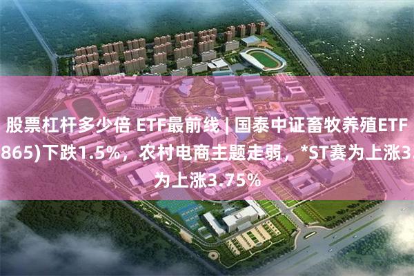 股票杠杆多少倍 ETF最前线 | 国泰中证畜牧养殖ETF(159865)下跌1.5%，农村电商主题走弱，*ST赛为上涨3.75%