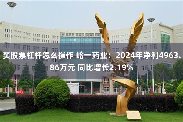 买股票杠杆怎么操作 峆一药业：2024年净利4963.86万元 同比增长2.19%