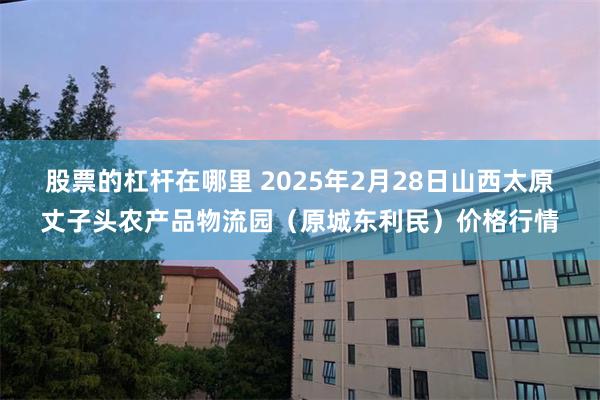 股票的杠杆在哪里 2025年2月28日山西太原丈子头农产品物流园（原城东利民）价格行情