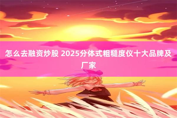 怎么去融资炒股 2025分体式粗糙度仪十大品牌及厂家